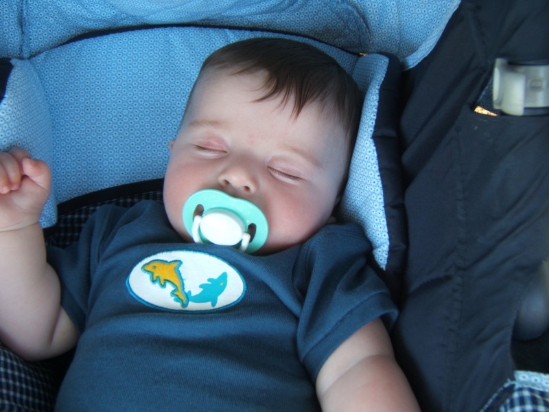 Palo Alto-Gal 6.2005 788.jpg